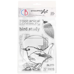 copy of 